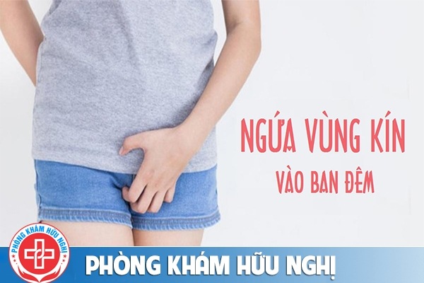 Ngứa vùng kín về đêm là bị bệnh gì?